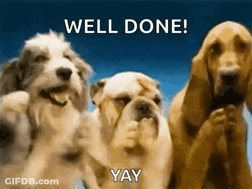 Three Dogs Are Standing Next To Each Other With The Words " Well Done Yay " Written Above Them GIF