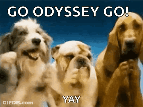 Three Dogs Go Odyssey Go Yay GIF