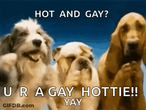 Three Dogs Hot And Gay GIF