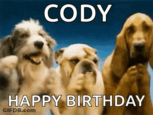 Three Dogs Named Cody GIF
