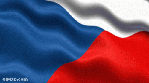 Three Dogs Running Czechia Wins GIF