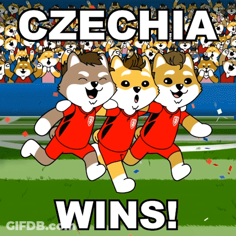 Three Dogs Running Field Czechia Wins GIF
