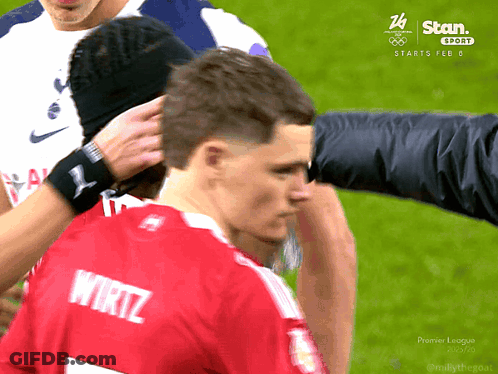 Three Dogs Running On Field Germany Wins GIF