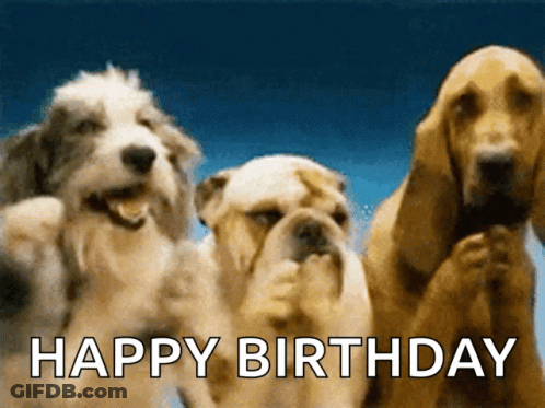 Three Dogs Standing Next To Each Other With The Words " Happy Birthday " Written Below Them GIF