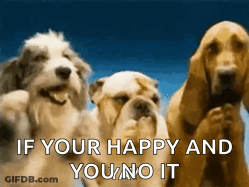 Three Dogs Standing Next To Each Other With The Words If Your Happy And You No It GIF