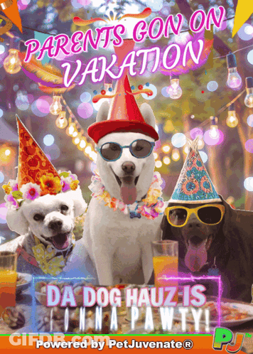 Three Dogs Wearing Party Hats And Sunglasses Are On A Poster That Says Parents Con On Vacation GIF