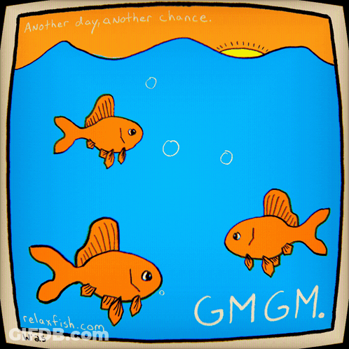Three Fish Another Day Another Chance Gmgm GIF