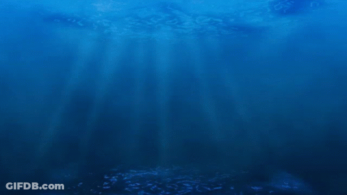 Three Fish Are Swimming In A Row In The Water GIF