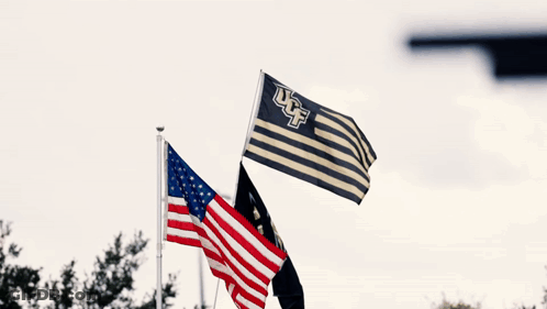 Three Flags Are Flying In The Wind With Knight Nation Written On The Bottom GIF