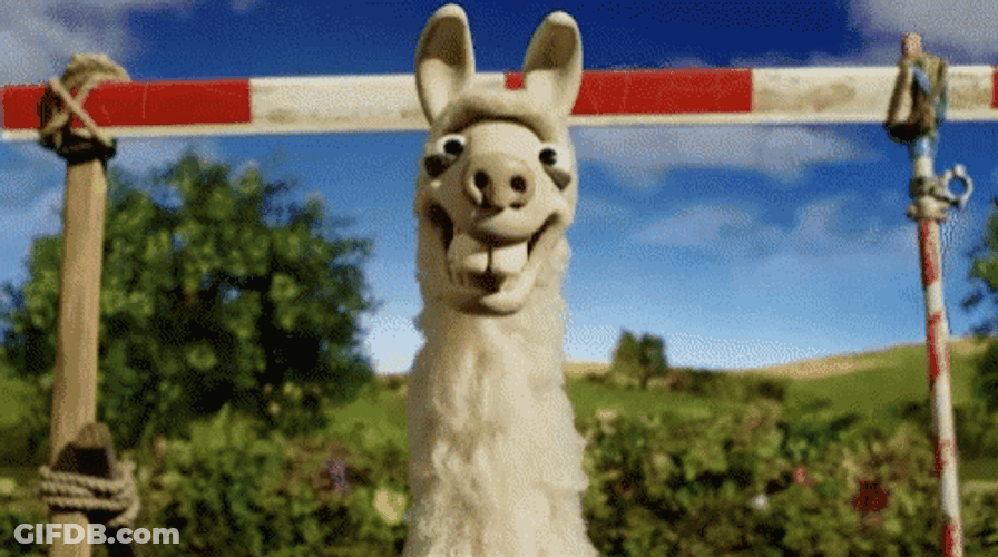 Three Funny Llama GIF