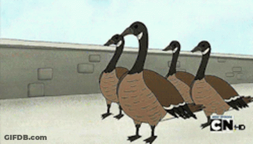 Three Geese Are Standing Next To Each Other In Front Of A Wall With Cn Hd Written On The Bottom GIF