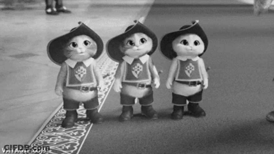 Three Gentlemen Cat Knight GIF