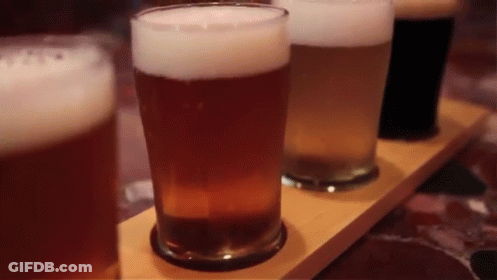 Three Glasses Of Beer Lined Up On Wooden Shelf GIF