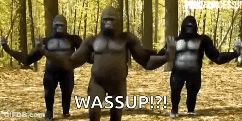 Three Gorillas Are Dancing In The Woods With The Words Wassup Written On The Bottom GIF