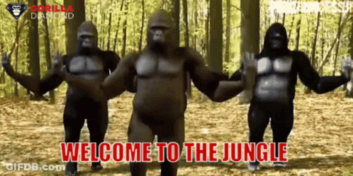 Three Gorillas Are Dancing In The Woods With The Words Welcome To The Jungle Written Below Them GIF