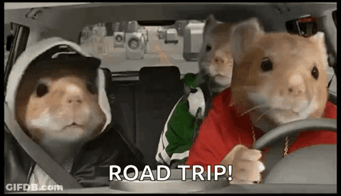 Three Hamsters Are Driving A Car With The Words Road Trip Written On The Bottom . GIF