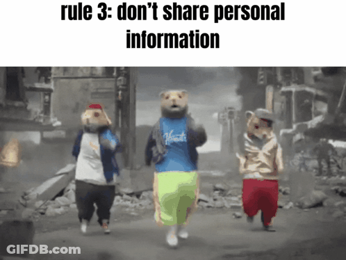 Three Hamsters Are Running Down A Street With The Words Rule 3 Don T Share Personal Information GIF