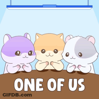 Three Hamsters Sitting At Table GIF