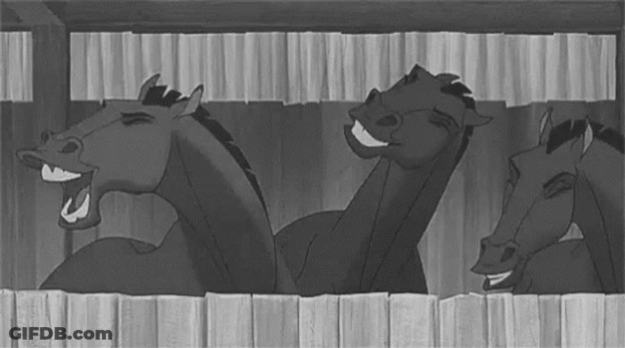 Three Horses Neigh Together GIF