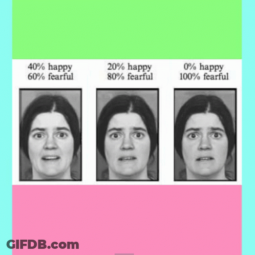 Three Images Of Woman's Face With Happy And Fearful Percentages GIF