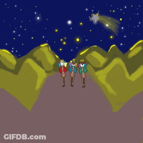 Three Kings Close Up On Horse GIF