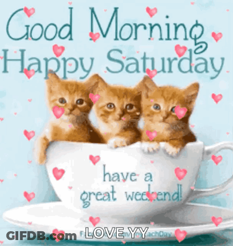 Three Kittens Are Sitting In A Cup Of Coffee With Hearts Around Them . GIF