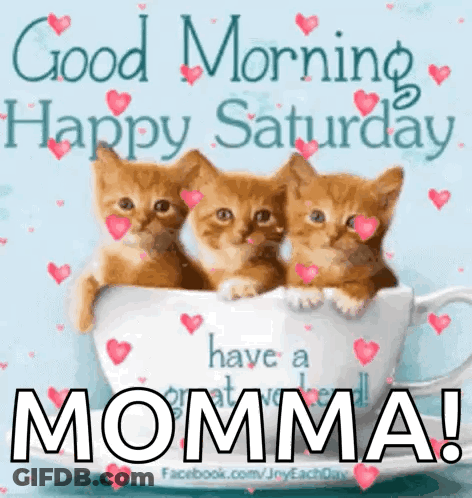 Three Kittens Are Sitting In A Cup With Hearts And The Words `` Good Morning Happy Saturday Momma ! '' GIF