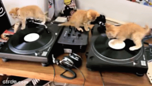 Three Kittens Playing Music On Turntable GIF