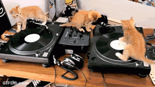 Three Kittens Playing Music On Turntable GIF