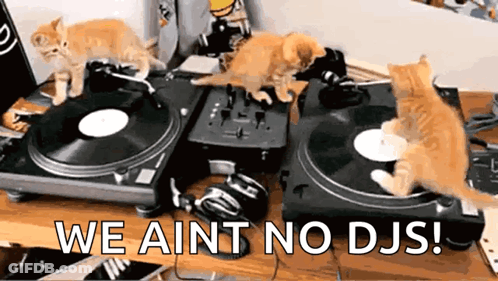 Three Kittens Playing Music We Ain't No DJs GIF