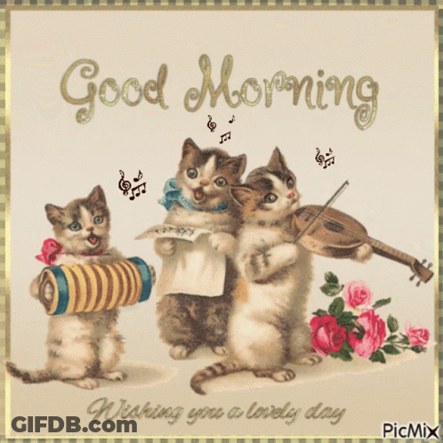 Three Kittens Singing Playing Instruments Good Morning Wishing You A Lovely Day GIF