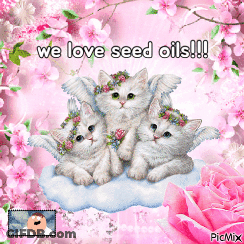 Three Kittens With Flowers Saying We Love Seed Oils GIF