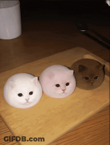Three Marshmallow Cats On Wooden Cutting Board GIF