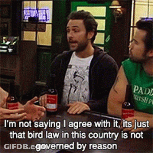 Three Men Are Sitting At A Bar Talking And One Of Them Is Wearing A Green Shirt That Says Paddy GIF