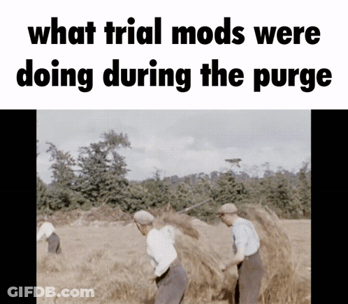 Three Men In A Field Saying What Trial Mods Were Doing During The Purge GIF