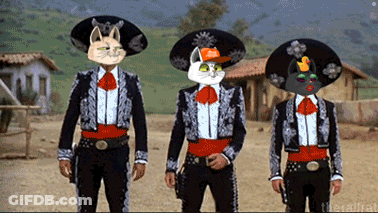 Three Men In Mariachi Outfits With Cats On Faces GIF