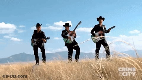 Three Men Playing Guitars In Field GIF