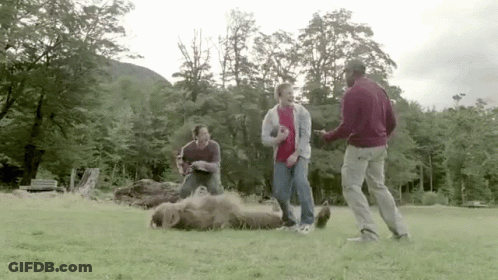 Three Men Playing With Dog On Grass GIF