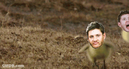 Three Men With Open Mouths In Grass GIF