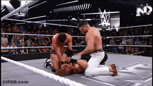 Three Men Wrestling In Ring GIF