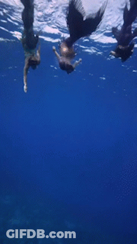 Three Mermaids Swimming In Ocean GIF