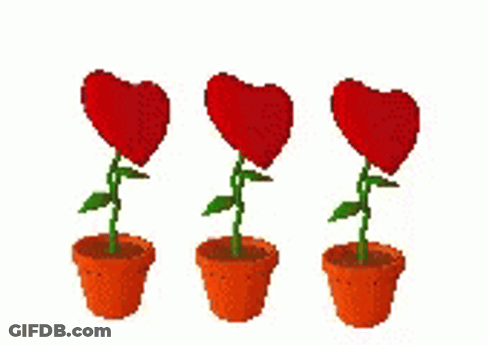 Three Moving Heart Flowers GIF