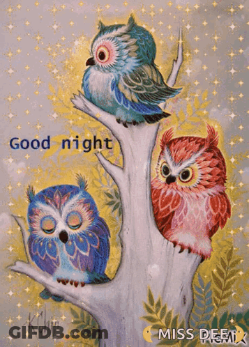 Three Owls On Branch Saying Good Night GIF
