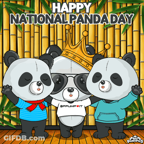 Three Panda Bears Bamboo Wall Happy National Panda Day GIF