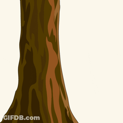 Three Penguins Are Peeking Out From Behind A Tree Trunk GIF