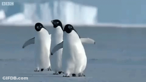 Three Penguins Are Standing Next To Each Other On A Snowy Beach . GIF