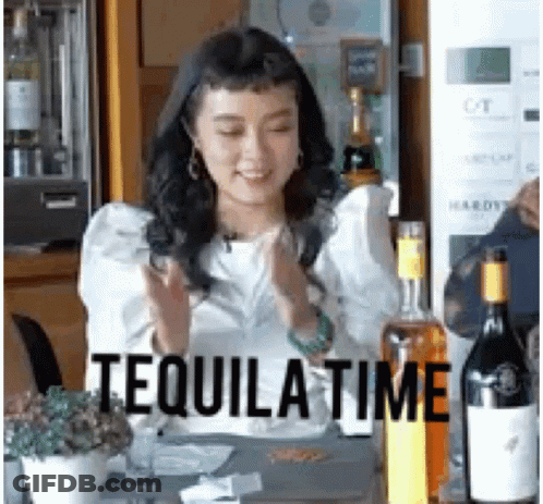 Three Penguins In Sombreros Singing Guitar GIF