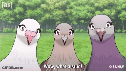 Three Pigeons Are Standing Next To Each Other With The Words Wow What A Stud GIF
