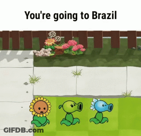 Three Plants In Garden You're Going To Brazil GIF