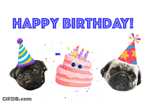 Three Pug Dogs In Party Hats And Birthday Cake GIF